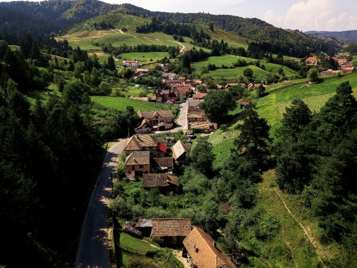 House Of Seasons Villa Bran  Exterior foto